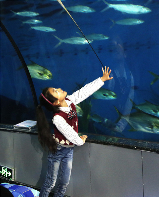 海为天水为被 泉城海洋极地世界迎来夜宿体验小游客